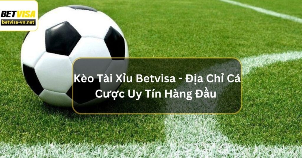 Kèo Tài Xỉu Betvisa - Địa Chỉ Cá Cược Uy Tín Hàng Đầu 1 Kèo Tài Xỉu Betvisa - Địa Chỉ Cá Cược Uy Tín Hàng Đầu